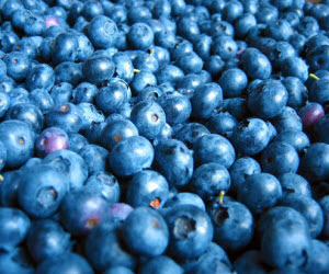Blueberries Blueberries
