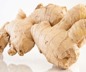 Ginger Ginger